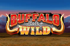 buffalo goes wild