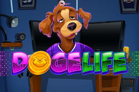doge life