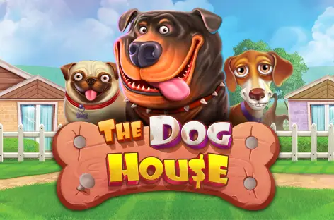 the dog house